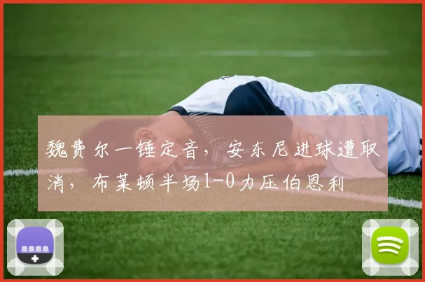 魏费尔一锤定音,安东尼进球遭取消,布莱顿半场1-0力压伯恩利